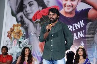 Crazy Fellow Movie Success Meet Photos